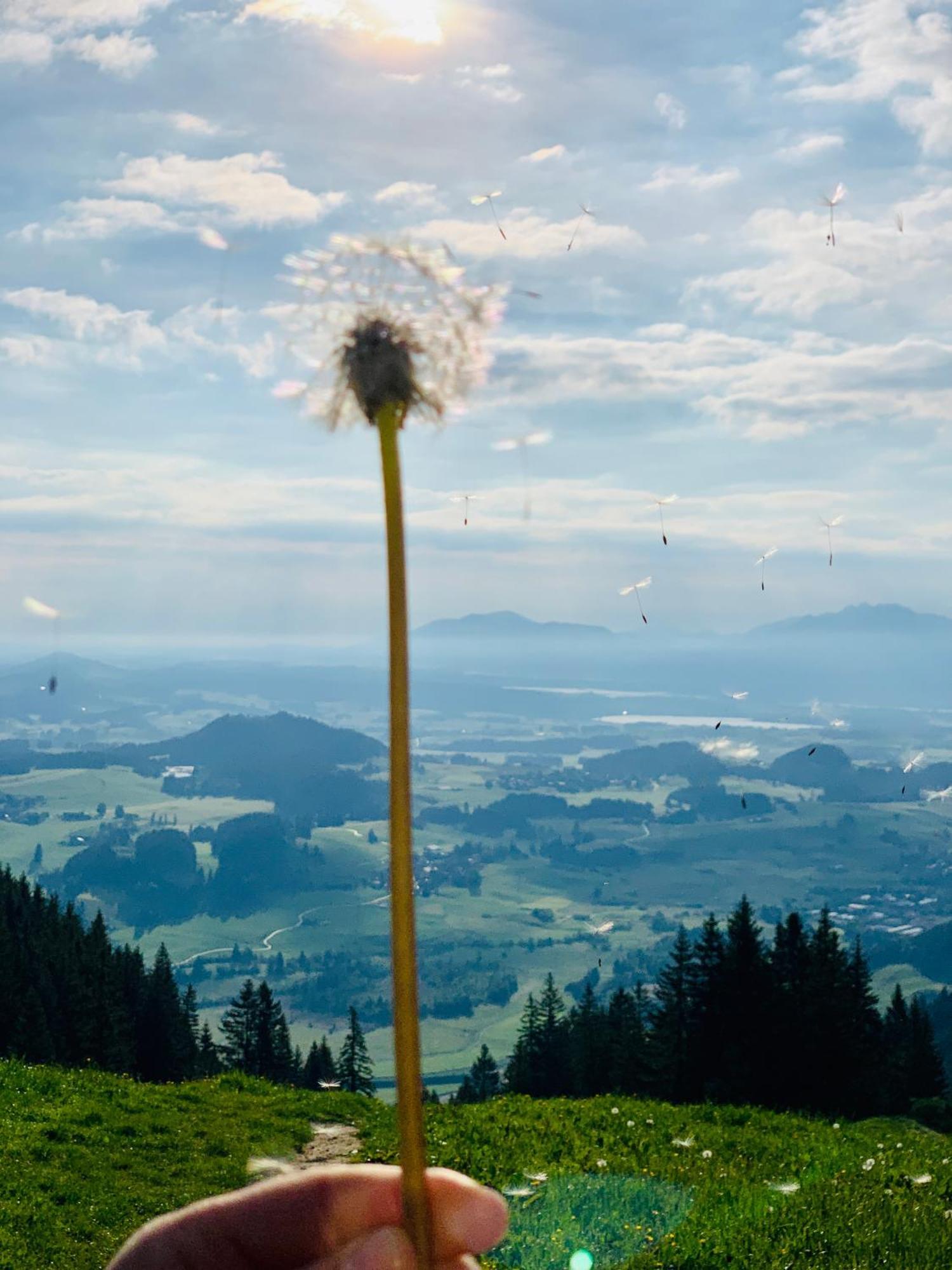 Ferienhaus Sommer Pfronten Exteriér fotografie