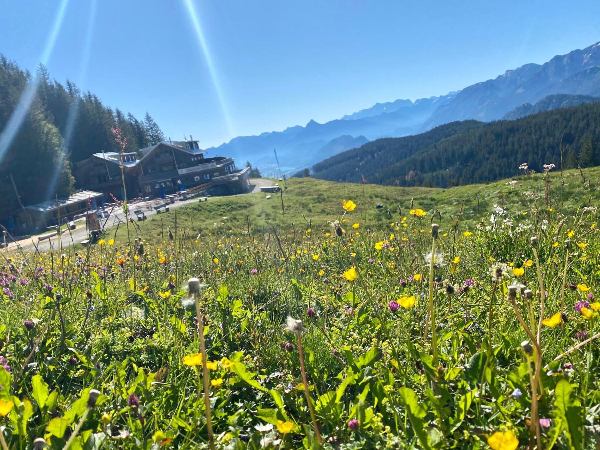 Ferienhaus Sommer Pfronten Exteriér fotografie