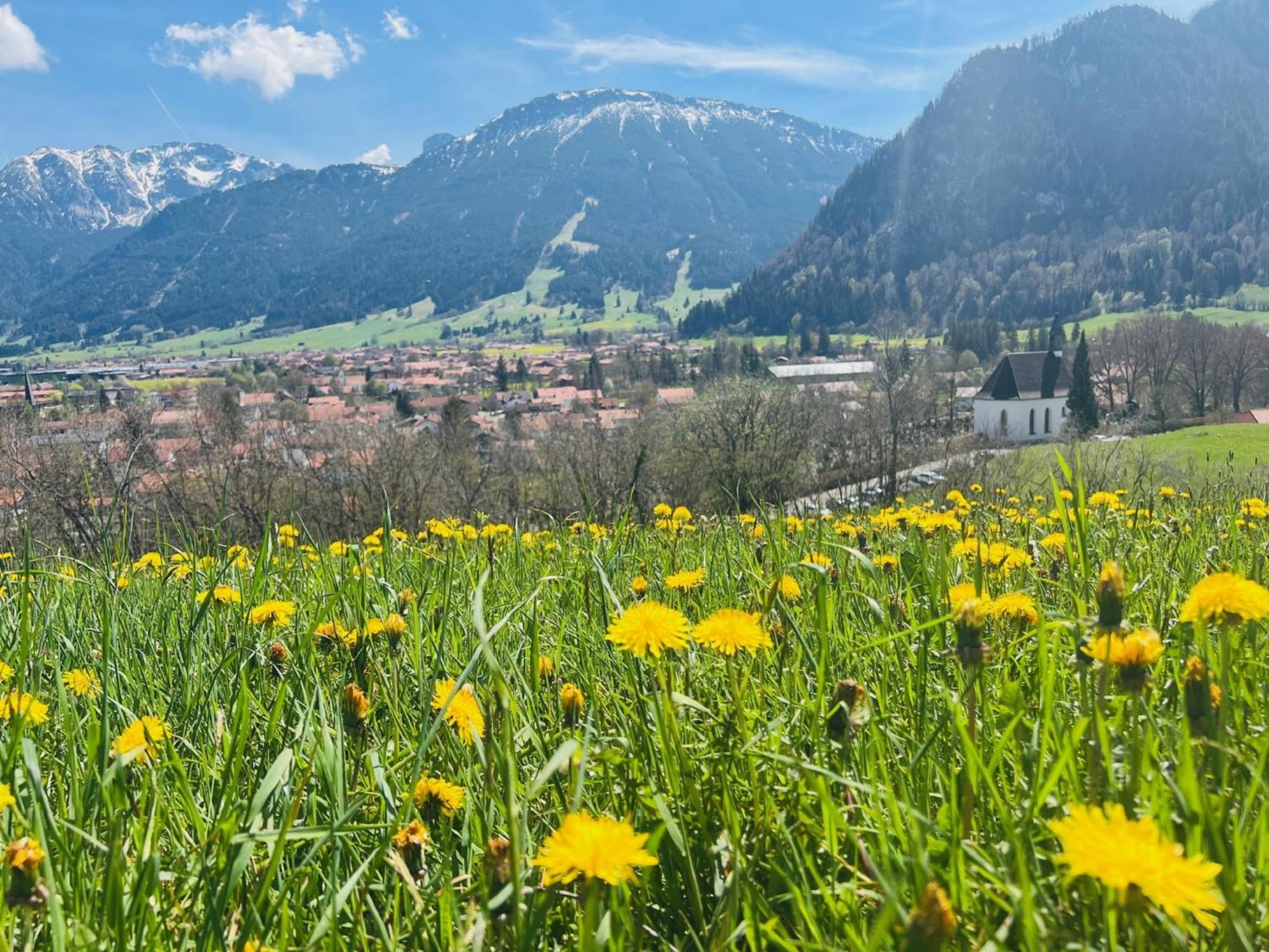 Ferienhaus Sommer Pfronten Exteriér fotografie